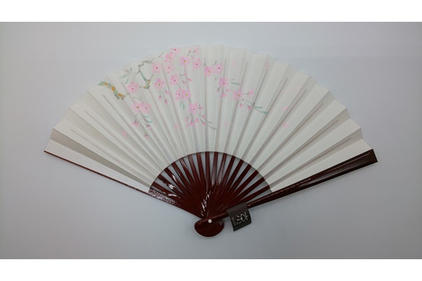 Japanese style accessories, Fan, 35 ribs, Cherry blossom - Kyoto folding fans-Kyoto folding fans-Japanese Uchiwa and sensu fans