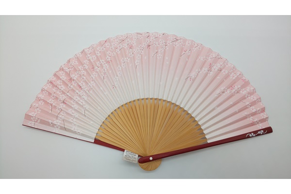 Japanese style accessories, Fan, 15 ribs, Cherry blossom - Kyoto folding fans-Kyoto folding fans-Japanese Uchiwa and sensu fans